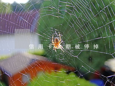 信用卡逾期被停掉 信用卡逾期被停掉