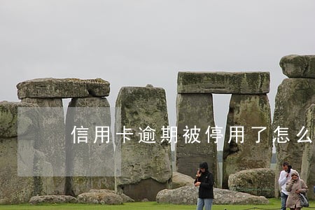 信用卡逾期被停用了怎么恢复 信用卡逾期被停用了怎么恢复