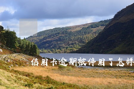 信用卡逾期被停用了怎样恢复 信用卡逾期被停用了怎样恢复