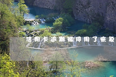 信用卡逾期被停用了恢复 信用卡逾期被停用了恢复