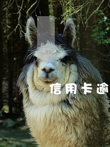 信用卡逾期被停用会影响信用吗 信用卡逾期被停用会影响信用吗