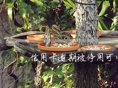 信用卡逾期被停用可以开通 信用卡逾期被停用可以开通