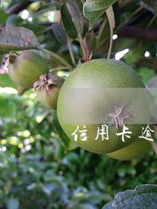 信用卡逾期被停用多久 信用卡逾期被停用多久