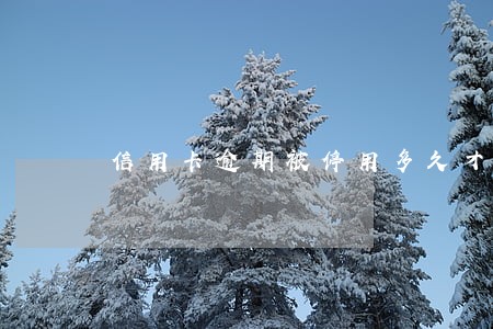 信用卡逾期被停用多久才会消除