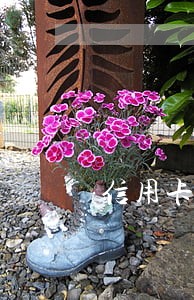 信用卡逾期被停用多久能恢复