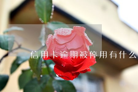 信用卡逾期被停用有什么影响 信用卡逾期被停用有什么影响