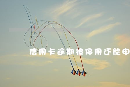 信用卡逾期被停用还能申请 信用卡逾期被停用还能申请