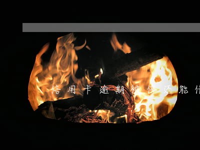 信用卡逾期被停还能借钱吗 信用卡逾期被停还能借钱吗