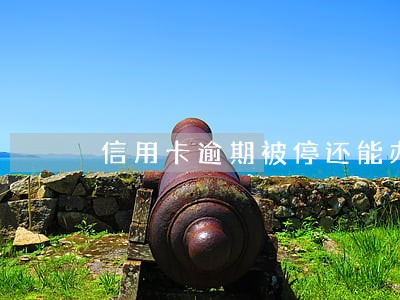 信用卡逾期被停还能办 信用卡逾期被停还能办