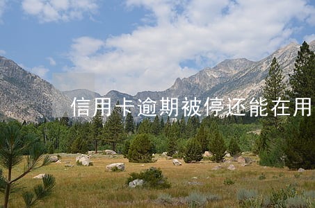 信用卡逾期被停还能在用吗 信用卡逾期被停还能在用吗