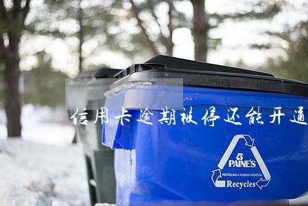 信用卡逾期被停还能开通吗 信用卡逾期被停还能开通吗