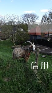 信用卡逾期被催收得身心疲惫 信用卡逾期被催收得身心疲惫