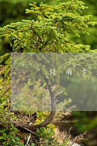 信用卡逾期被催收没接电话 信用卡逾期被催收没接电话