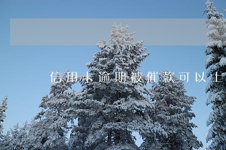信用卡逾期被催款可以上门几次 信用卡逾期被催款可以上门几次