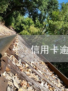 信用卡逾期被催款威胁