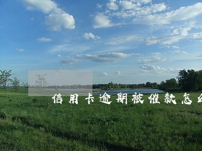 信用卡逾期被催款怎么解决 信用卡逾期被催款怎么解决