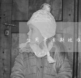 信用卡逾期被催缴应该怎么回复