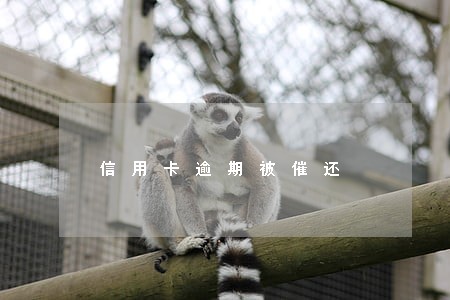 信用卡逾期被催还 信用卡逾期被催还