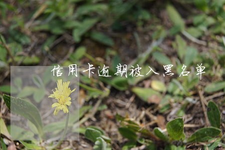 信用卡逾期被入黑名单 信用卡逾期被入黑名单