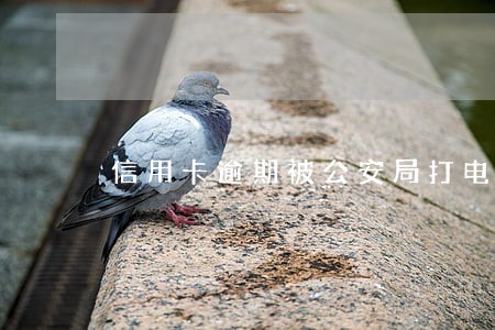 信用卡逾期被公安局打电话怎么办 信用卡逾期被公安局打电话怎么办