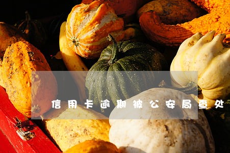 信用卡逾期被公安局查处