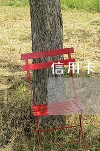 信用卡逾期被公安立案怎么办 信用卡逾期被公安立案怎么办