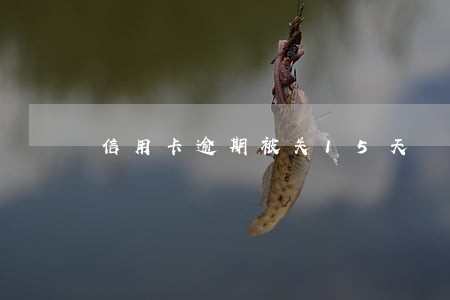 信用卡逾期被关15天 信用卡逾期被关15天