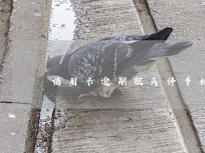 信用卡逾期被关停手机 信用卡逾期被关停手机