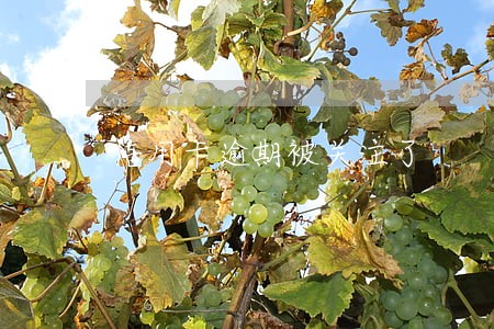 信用卡逾期被关注了 信用卡逾期被关注了