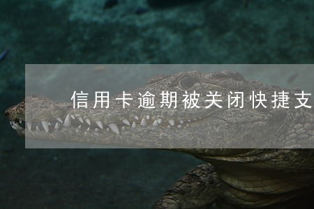 信用卡逾期被关闭快捷支付 信用卡逾期被关闭快捷支付