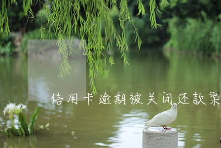信用卡逾期被关闭还款渠道 信用卡逾期被关闭还款渠道