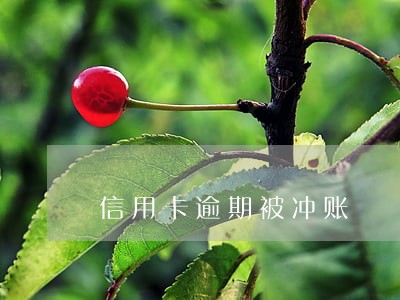 信用卡逾期被冲账