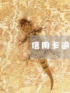信用卡逾期被冻可以解冻吗 信用卡逾期被冻可以解冻吗