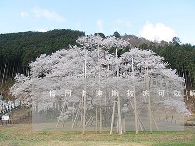 信用卡逾期被冻可以解吗