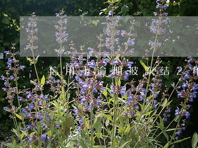 信用卡逾期被冻结2年多能解冻吗