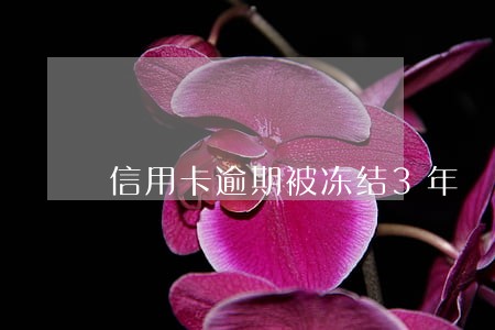 信用卡逾期被冻结3年 信用卡逾期被冻结3年