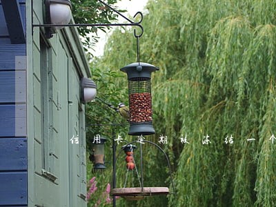 信用卡逾期被冻结一个月能解冻吗 信用卡逾期被冻结一个月能解冻吗