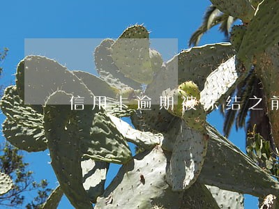 信用卡逾期被冻结之前的分期