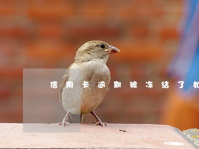 信用卡逾期被冻结了如何解冻 信用卡逾期被冻结了如何解冻