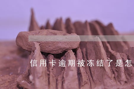 信用卡逾期被冻结了是怎么回事 信用卡逾期被冻结了是怎么回事