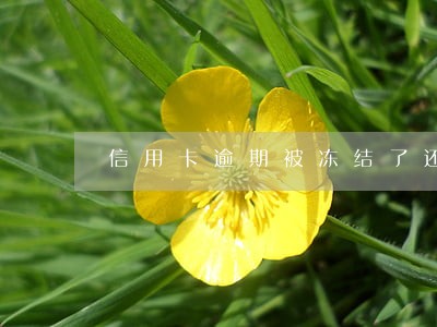 信用卡逾期被冻结了还可以吗 信用卡逾期被冻结了还可以吗