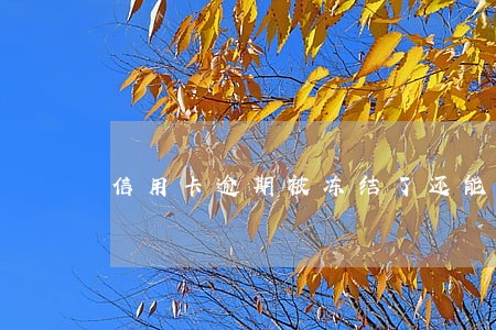 信用卡逾期被冻结了还能解封吗 信用卡逾期被冻结了还能解封吗