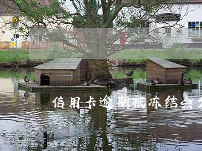 信用卡逾期被冻结会发生什么 信用卡逾期被冻结会发生什么