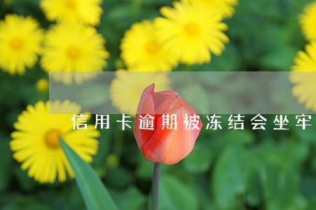 信用卡逾期被冻结会坐牢吗 信用卡逾期被冻结会坐牢吗