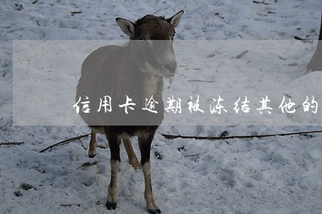 信用卡逾期被冻结其他的卡怎么办 信用卡逾期被冻结其他的卡怎么办
