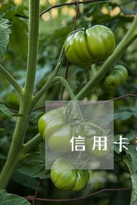 信用卡逾期被冻结几天能解冻 信用卡逾期被冻结几天能解冻