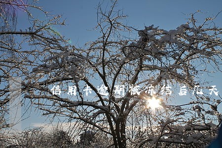 信用卡逾期被冻结后几天解冻 信用卡逾期被冻结后几天解冻