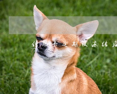 信用卡逾期被冻结后多久可以用