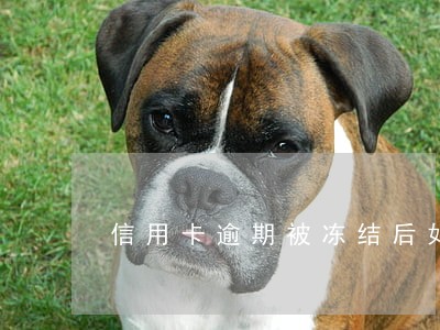 信用卡逾期被冻结后如何取出