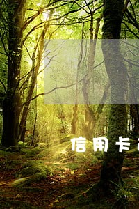 信用卡逾期被冻结后怎么办分期
